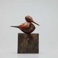 pijlstaart II