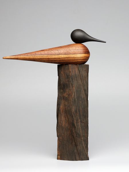 bird imagination II 