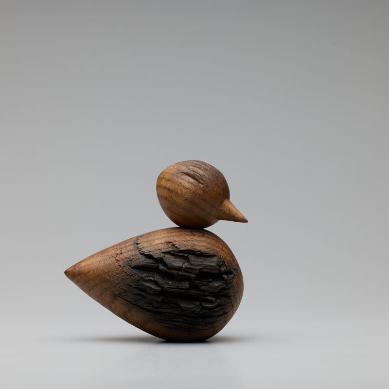 vogel vredeborch