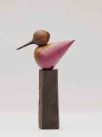 kolibri